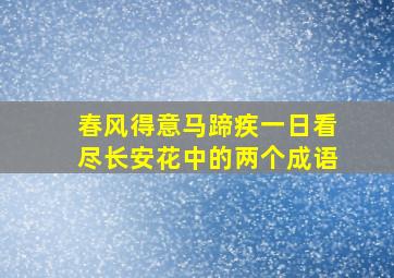 春风得意马蹄疾一日看尽长安花中的两个成语