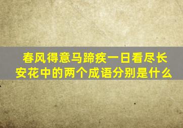 春风得意马蹄疾一日看尽长安花中的两个成语分别是什么