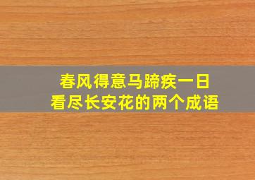 春风得意马蹄疾一日看尽长安花的两个成语