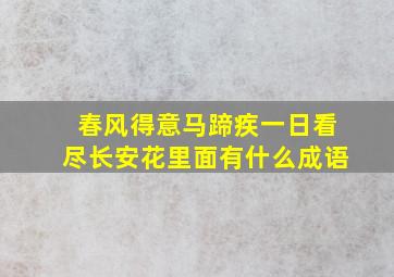 春风得意马蹄疾一日看尽长安花里面有什么成语