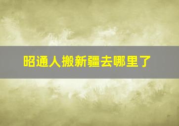 昭通人搬新疆去哪里了