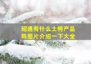 昭通有什么土特产品吗图片介绍一下大全