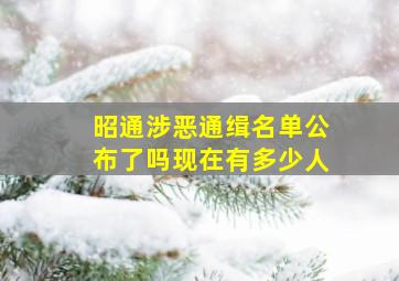 昭通涉恶通缉名单公布了吗现在有多少人