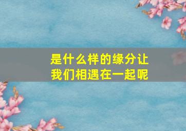 是什么样的缘分让我们相遇在一起呢