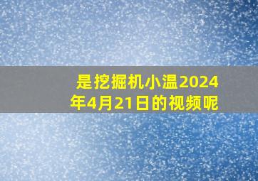 是挖掘机小温2024年4月21日的视频呢