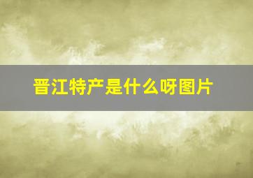 晋江特产是什么呀图片