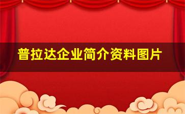 普拉达企业简介资料图片