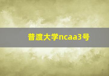 普渡大学ncaa3号