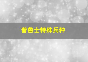 普鲁士特殊兵种