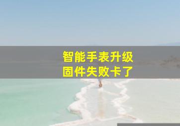 智能手表升级固件失败卡了