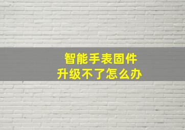 智能手表固件升级不了怎么办