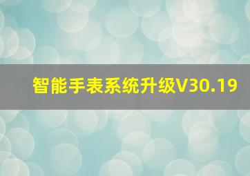 智能手表系统升级V30.19