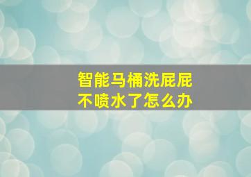 智能马桶洗屁屁不喷水了怎么办