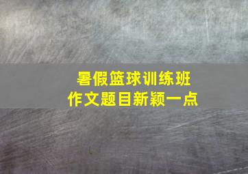 暑假篮球训练班作文题目新颖一点