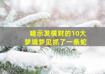 暗示发横财的10大梦境梦见抓了一条蛇