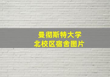 曼彻斯特大学北校区宿舍图片