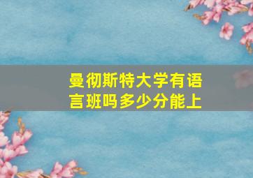 曼彻斯特大学有语言班吗多少分能上