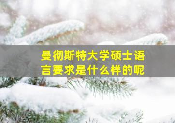 曼彻斯特大学硕士语言要求是什么样的呢