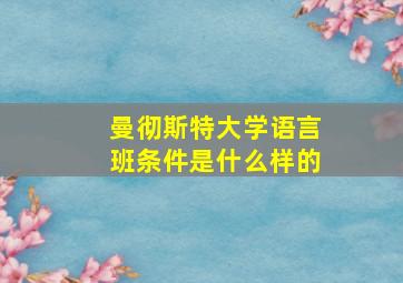 曼彻斯特大学语言班条件是什么样的