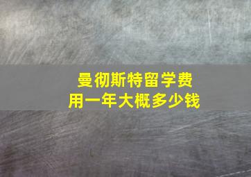 曼彻斯特留学费用一年大概多少钱