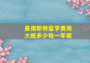 曼彻斯特留学费用大概多少钱一年呢