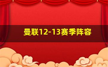 曼联12-13赛季阵容