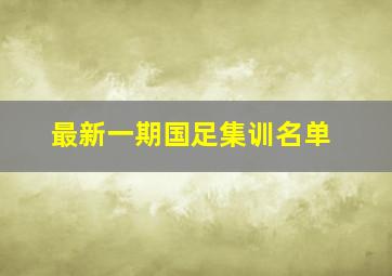 最新一期国足集训名单