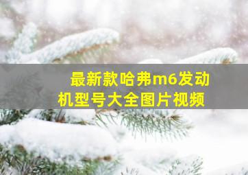 最新款哈弗m6发动机型号大全图片视频