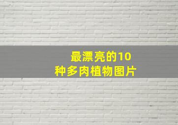 最漂亮的10种多肉植物图片