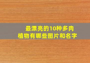 最漂亮的10种多肉植物有哪些图片和名字