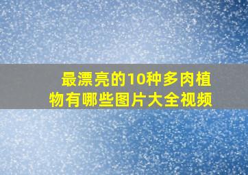 最漂亮的10种多肉植物有哪些图片大全视频