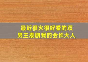 最近很火很好看的双男主泰剧我的会长大人