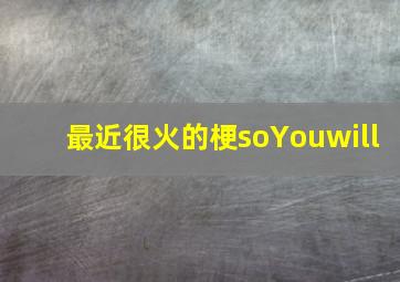 最近很火的梗soYouwill