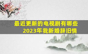 最近更新的电视剧有哪些2023年我新婚辞旧情