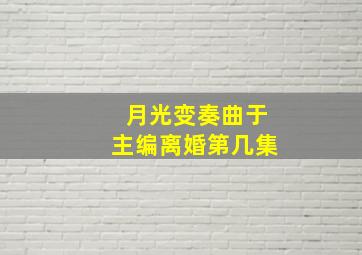 月光变奏曲于主编离婚第几集