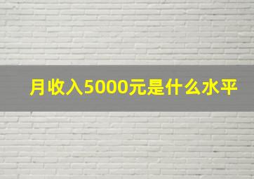 月收入5000元是什么水平