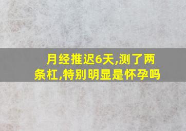 月经推迟6天,测了两条杠,特别明显是怀孕吗