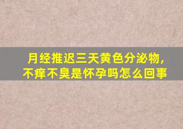 月经推迟三天黄色分泌物,不痒不臭是怀孕吗怎么回事