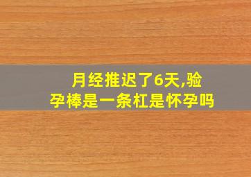 月经推迟了6天,验孕棒是一条杠是怀孕吗