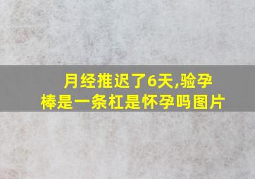 月经推迟了6天,验孕棒是一条杠是怀孕吗图片