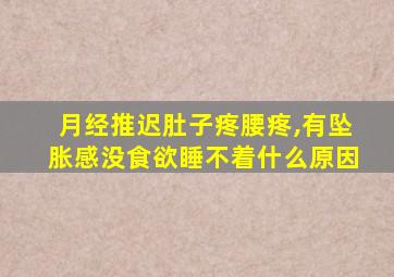 月经推迟肚子疼腰疼,有坠胀感没食欲睡不着什么原因