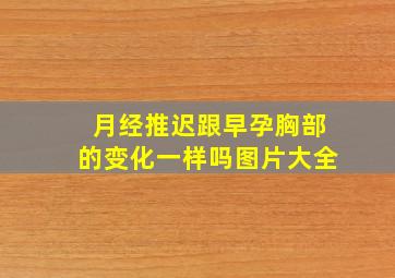 月经推迟跟早孕胸部的变化一样吗图片大全