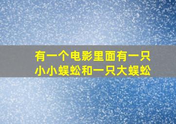 有一个电影里面有一只小小蜈蚣和一只大蜈蚣