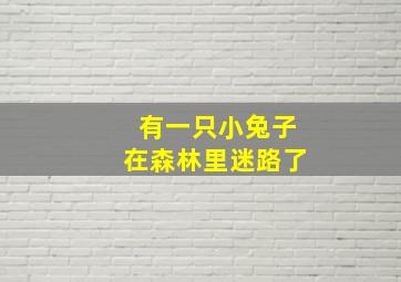 有一只小兔子在森林里迷路了