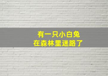 有一只小白兔在森林里迷路了