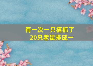 有一次一只猫抓了20只老鼠排成一