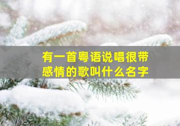 有一首粤语说唱很带感情的歌叫什么名字