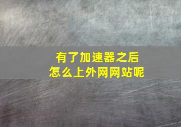 有了加速器之后怎么上外网网站呢