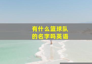 有什么篮球队的名字吗英语