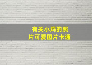 有关小鸡的照片可爱图片卡通